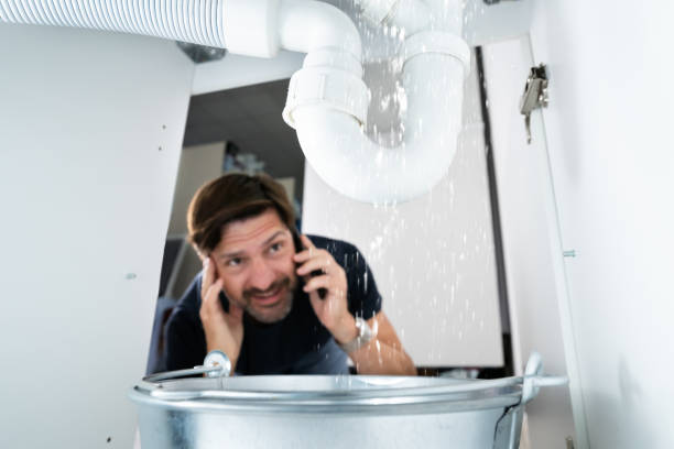 Best Emergency Plumbing Repair  in South Lyon, MI