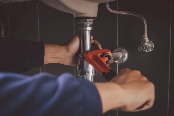 Best Local Plumber Services  in South Lyon, MI